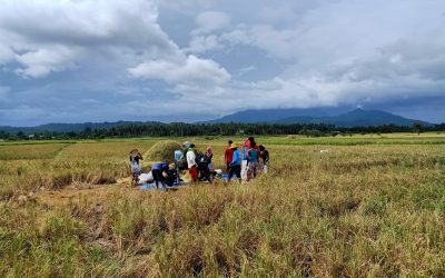 Scaling Up  System of Rice Intensification(SRI) for Philippine Food Security