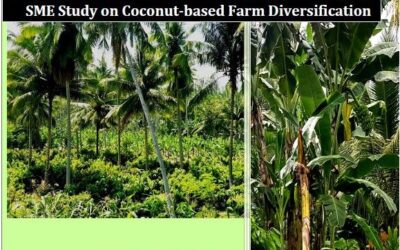 A Study: Introduction to Coconut Intercropping Products Value Chains. Assessing Opportunities for Market and Profitability in the Philippines