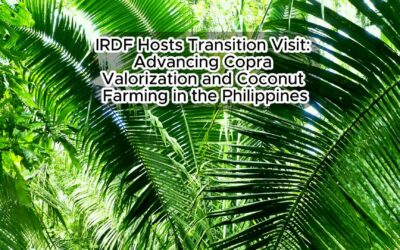 IRDF Hosts Transition Visit: Advancing Copra Valorization and Coconut Farming in the Philippines