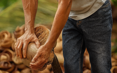 From Husk to Hope: The IRDF Coco 3 Journey (2019–2025)